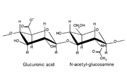 Astaxanthin